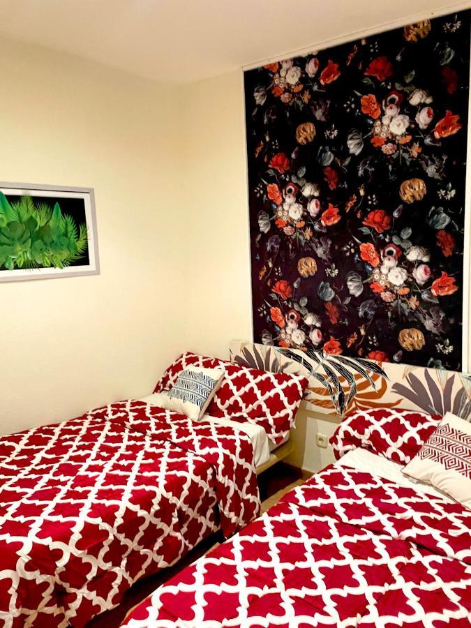 Sol Montera & Parking Tph Bed & Breakfast Madrid Dış mekan fotoğraf